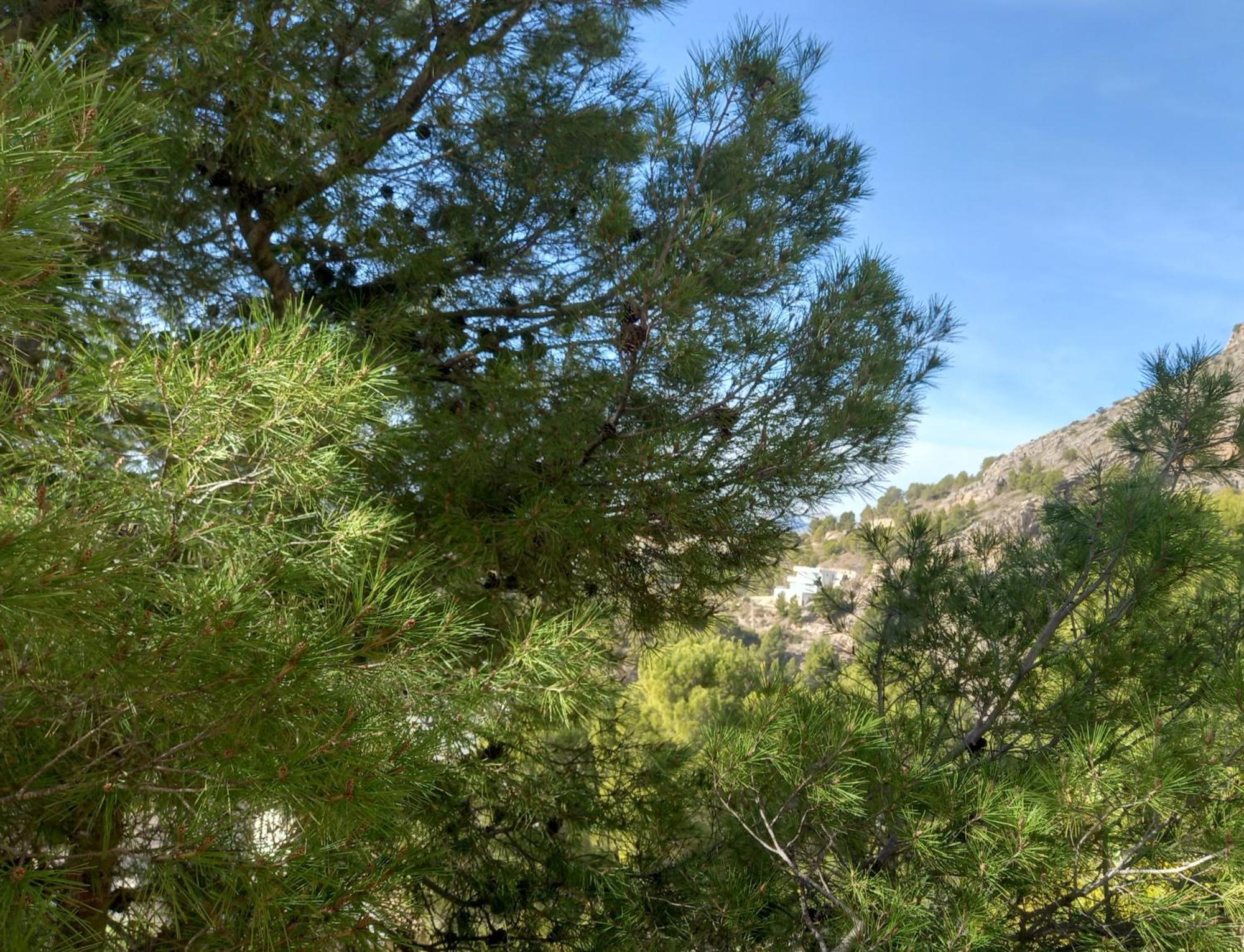 Villa Townhouse Altea Hills Exterior foto
